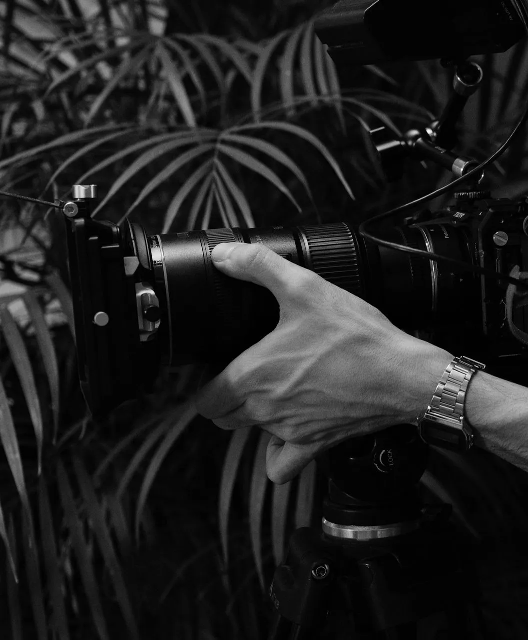Camara en acción